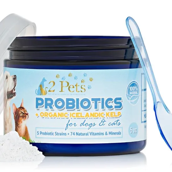 Soins de santé animale Volaille Bovins Moutons Poissons Crevettes Additifs alimentaires Probiotiques Enterococcus Faecalis