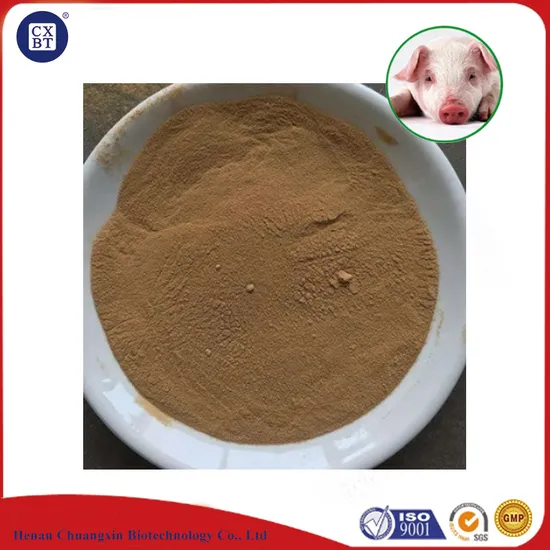 Probiotiques Bacillus Subtilis biologiques de qualité supérieure pour la santé des sols