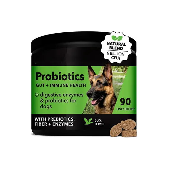 Probiotics Soft Chew for Dogs, Gut Intestinal Health, Natural Probiotic Prebiotic Supplement, Nutrition Dietary Supplement