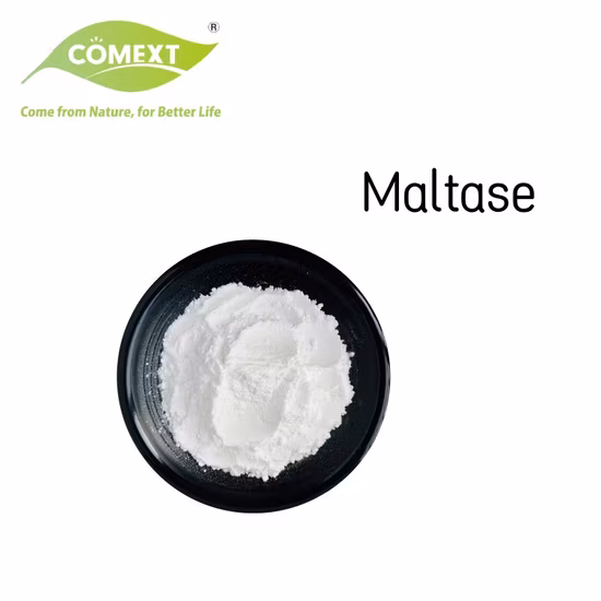 Préparations enzymatiques d'additifs alimentaires Comext Supply : poudre de maltase