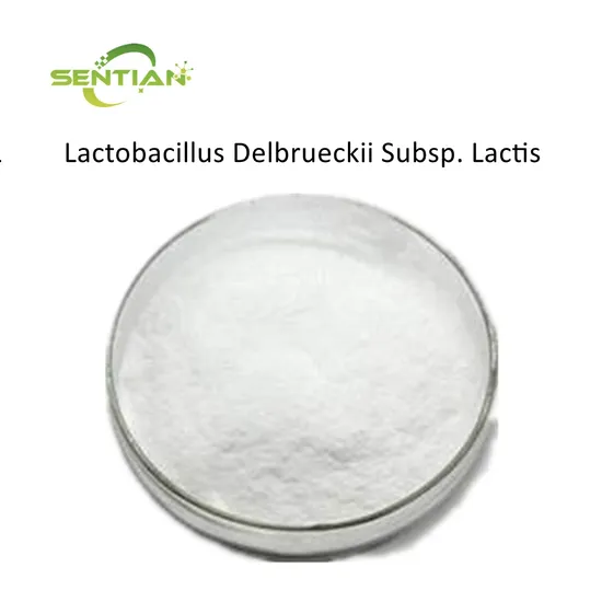 Poudre de Lactobacillus Delbrueckii Subsp. Lactis de haute qualité