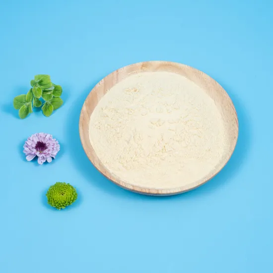Bacillus Coagulans King Probiotic Spore Probiotic Boost Immunité Nutrition Athlétique