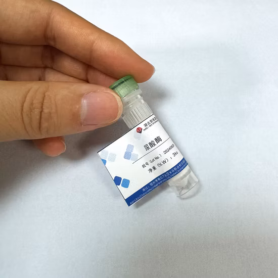 Matières premières pour la préparation d'enzymes UAO pour les kits de diagnostic in vitro