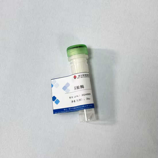 Préparation enzymatique Urinase pour kit de détection de l'acide urique sérique