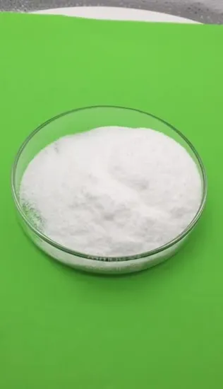 Poudre de Lactobacillus Plantarum, matière première de haute qualité, pour renforcer l'immunité