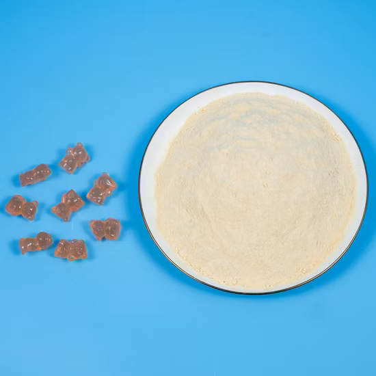 Ingrédient nutraceutique probiotique Bacillus coagulans pour bonbons gélifiés, suppléments de santé