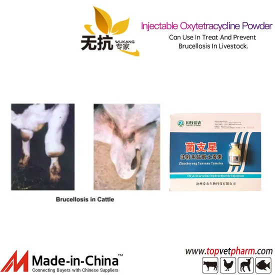 Poudre d'oxytétracycline injectable, poudre lyophilisée stérile